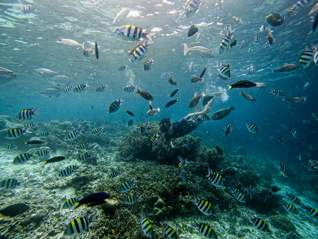 7 Spot Snorkeling Terbaik yang Bisa Anda Jelajahi di Raja Ampat
