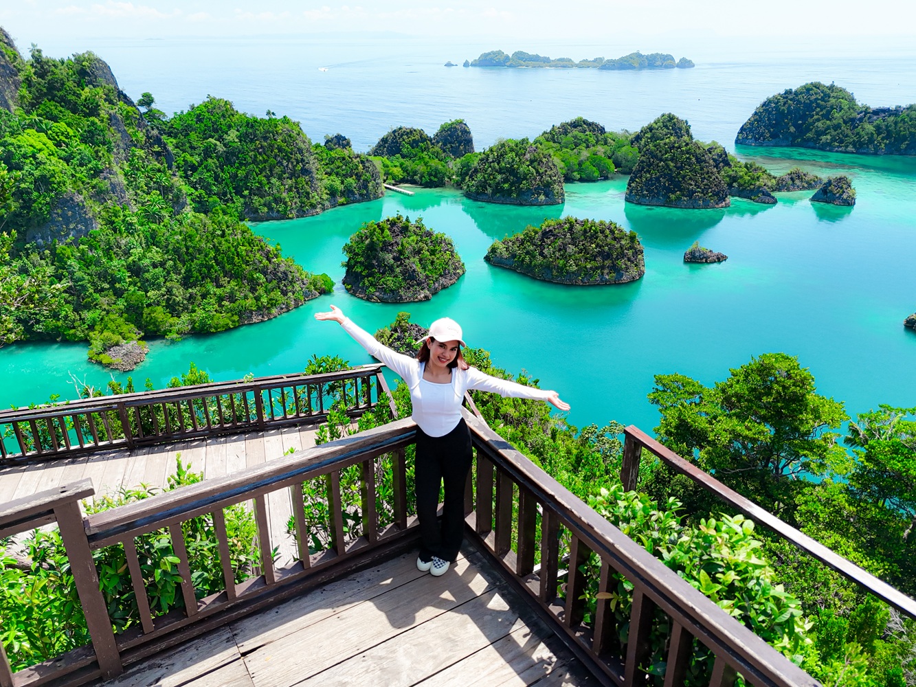Piaynemo
